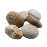 Mexican Beach Pebble 2- 3 Buff Mexican Beach Pebble