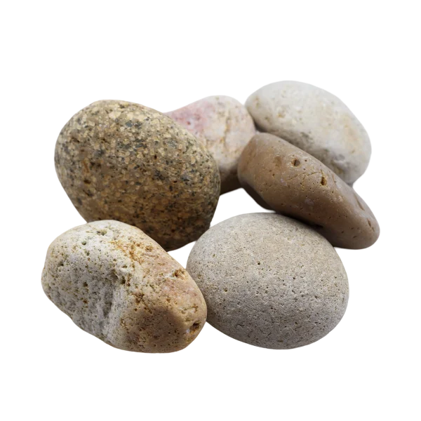 Mexican Beach Pebble 2- 3 Buff Mexican Beach Pebble