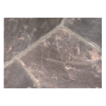 New-England-Lilac-Flagstone