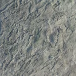 Proline Blue Stone Touch Up Skin Concrete Stamp