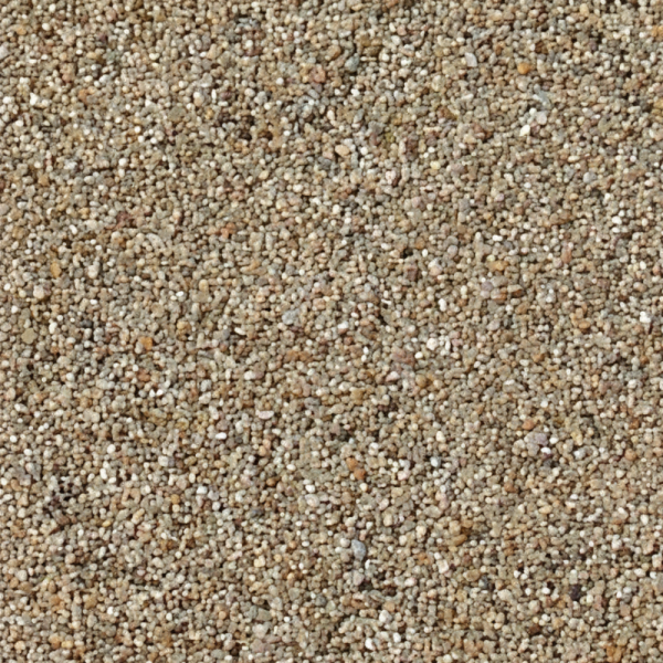 Birds Feed Pea Gravel