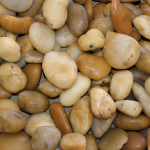 55LB-BAG-12″-1″-YELLOW-POLISHED-PEBBLES