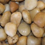 55LB-BAG-2″-3″-YELLOW-POLISHED-PEBBLE