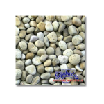 Buff Mexican Beach Pebble 1/2″-1″