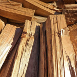 14-CORD-16-OAKPINE-MIX