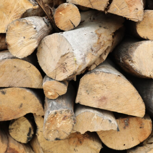 14-CORD-22-OAK