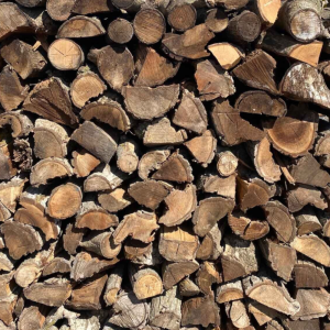 14-CORD-22-PINE