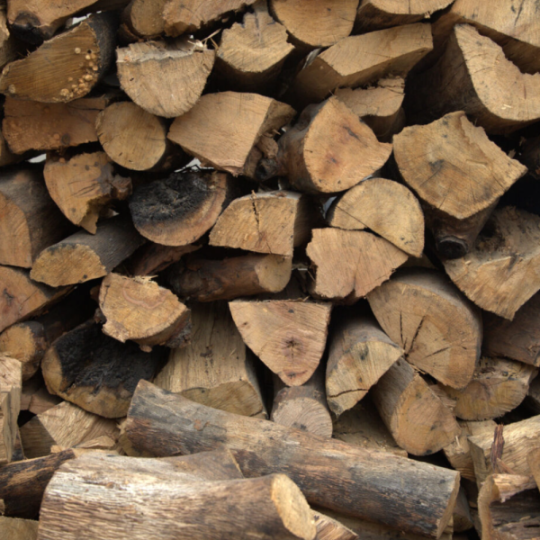14 CORD 22″ ALMOND 14-CORD-22″-ALMOND