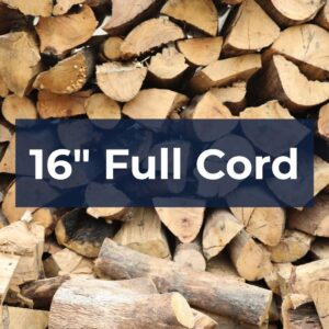 Cord 16" Almond