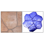72X72-GRAND-SANDSTONE-GROUTABLE