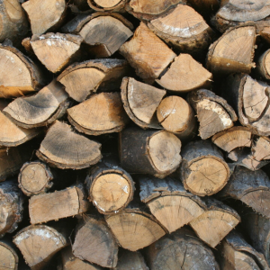 Almond_Pine Mixed Firwood