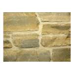 LF-LOMPOC-TUMBLED-1-CUT-TVC