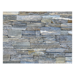 LF-ROCKY-MOUNTAIN-SILVER-LEDGE-TV