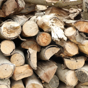 Walnut Firewood 1 Cord