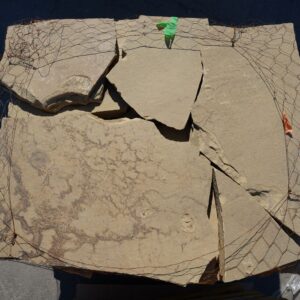 Cameron 2" Patio Flagstone