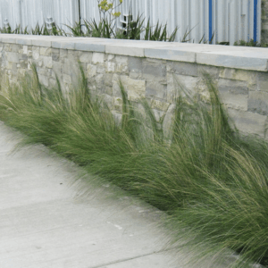 Lompoc-12-Wall-Cap-Thermal-2-Sides-2