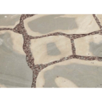 Lompoc-Oatmeal-Thermal-Flagstone-1