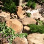 Plum-Creek-Medium-Boulder